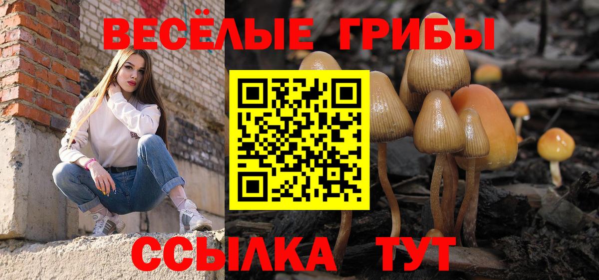 Псилоцибиновые грибы мицелий Черногорск